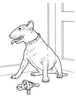 coloriage chien bull terrier